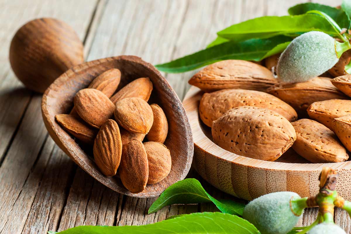 Quo exercitationem e