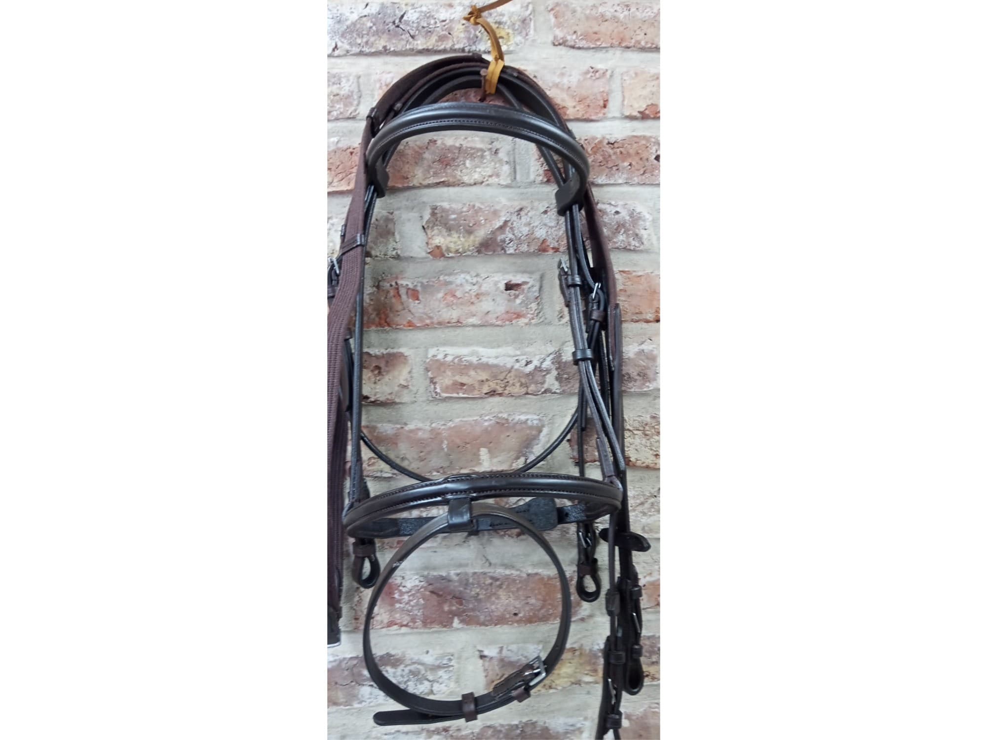 Canezada para salto.