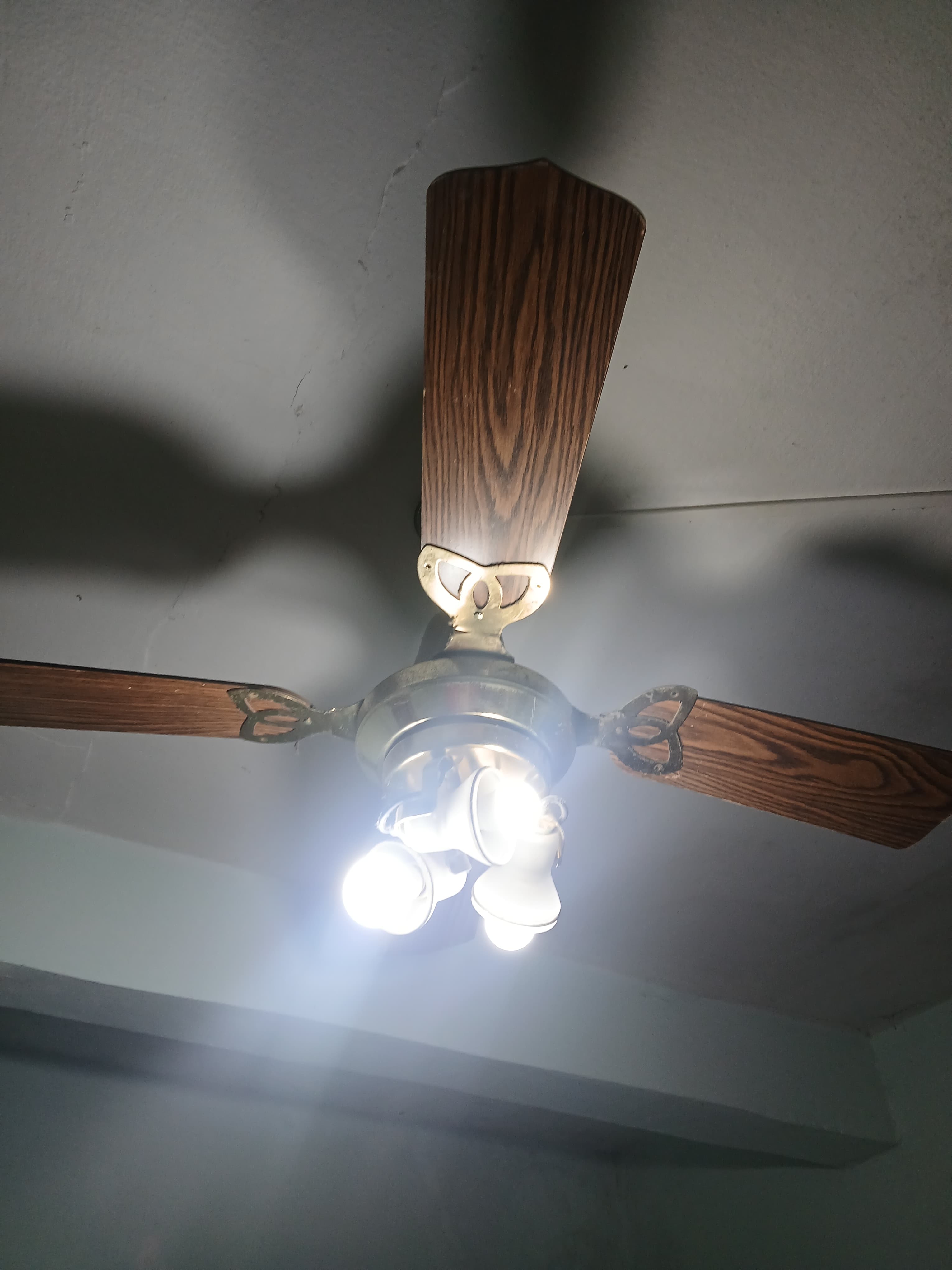 Ventilador de techo