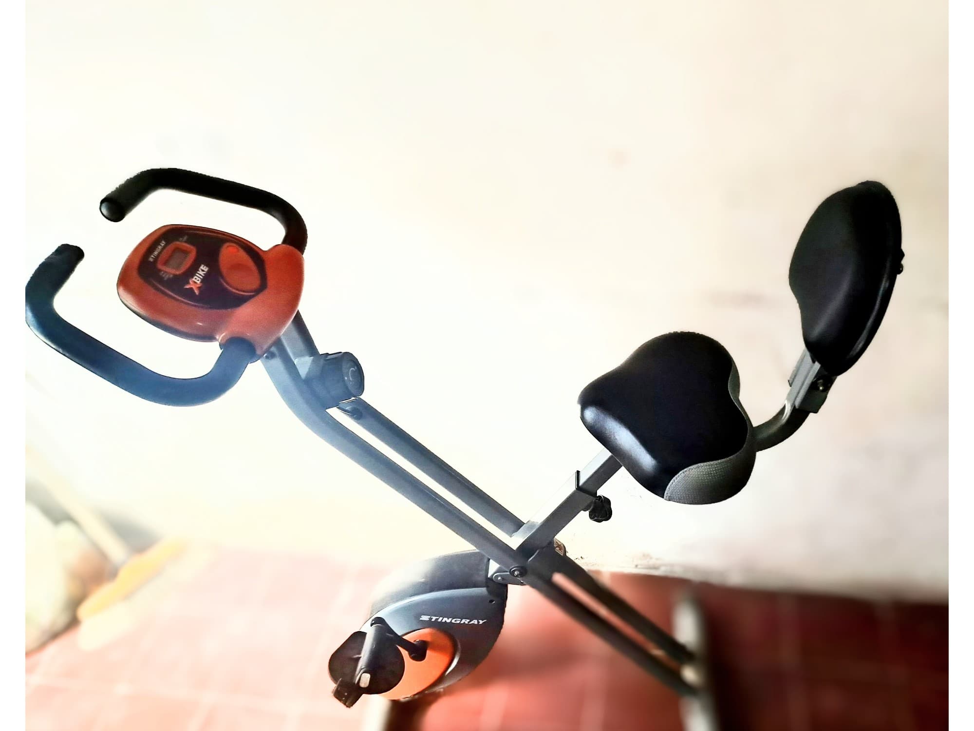 Bicicleta Fija Plegable Stingray X-Bike (Excelente Estado, Poco Uso)