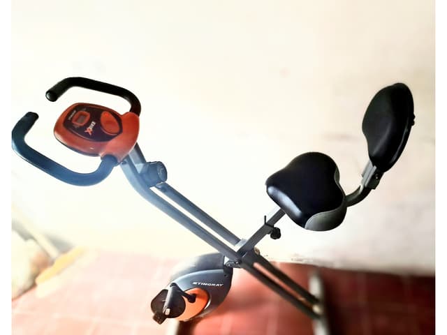 Bicicleta Fija Plegable Stingray X-Bike (Excelente Estado, Poco Uso)