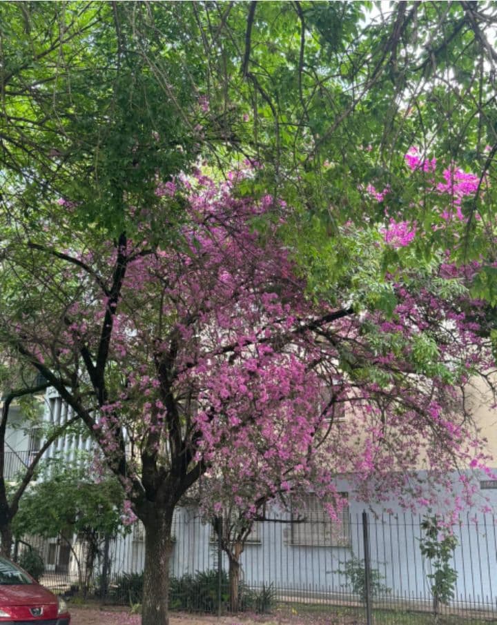 DUEÑO VENDE IMPECABLE DEPERTAMENTO
