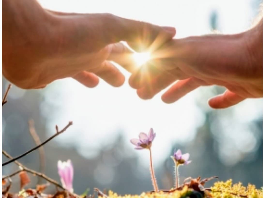 Sanacion energéticas y naturales