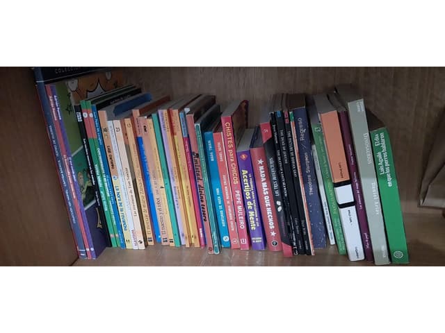 LIBROS-TITULOS VARIADOS-EXCELENTE ESTADO-JUNTOS O SEPARADOS