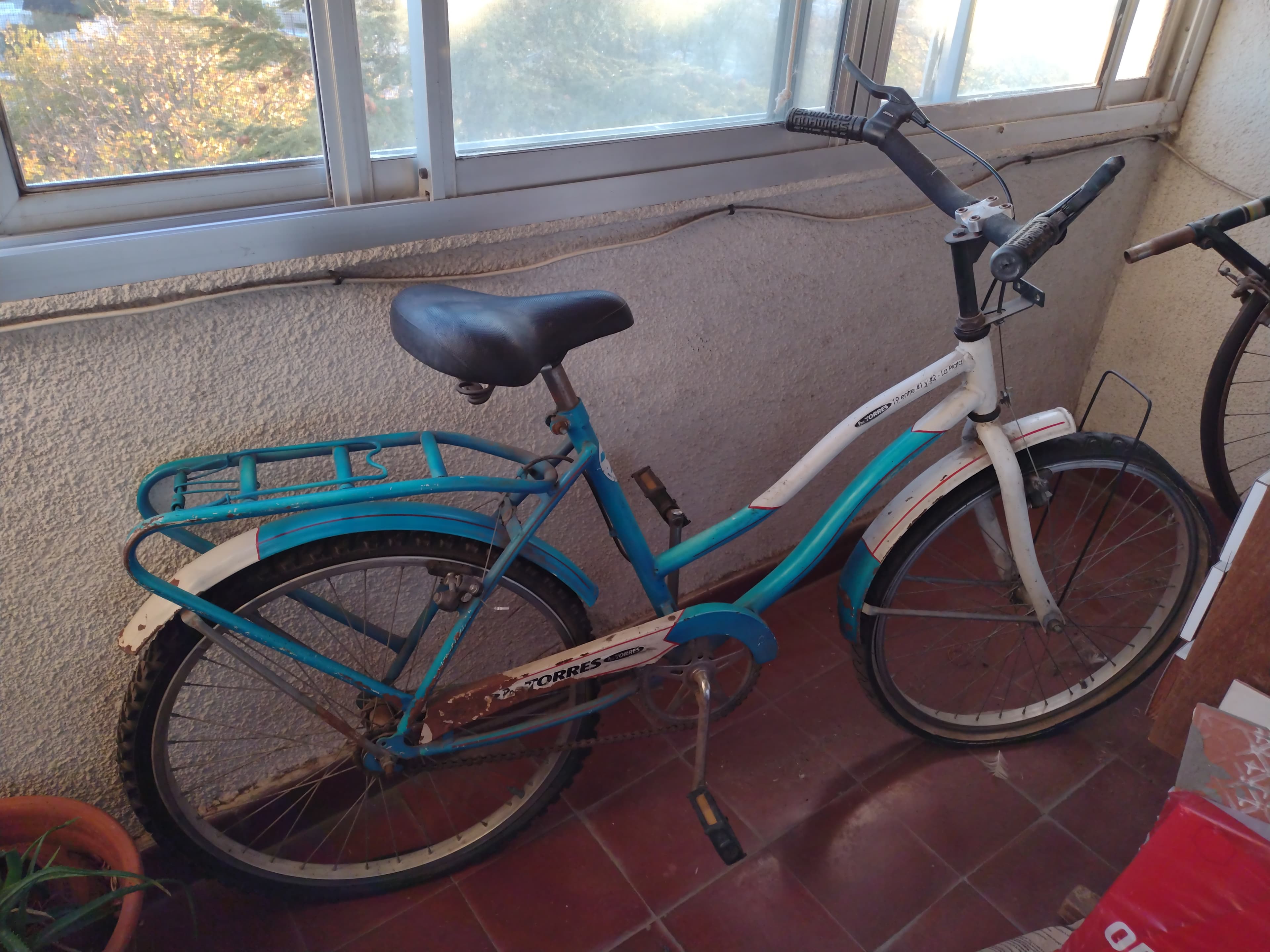 Bicicleta de paseo para niñas