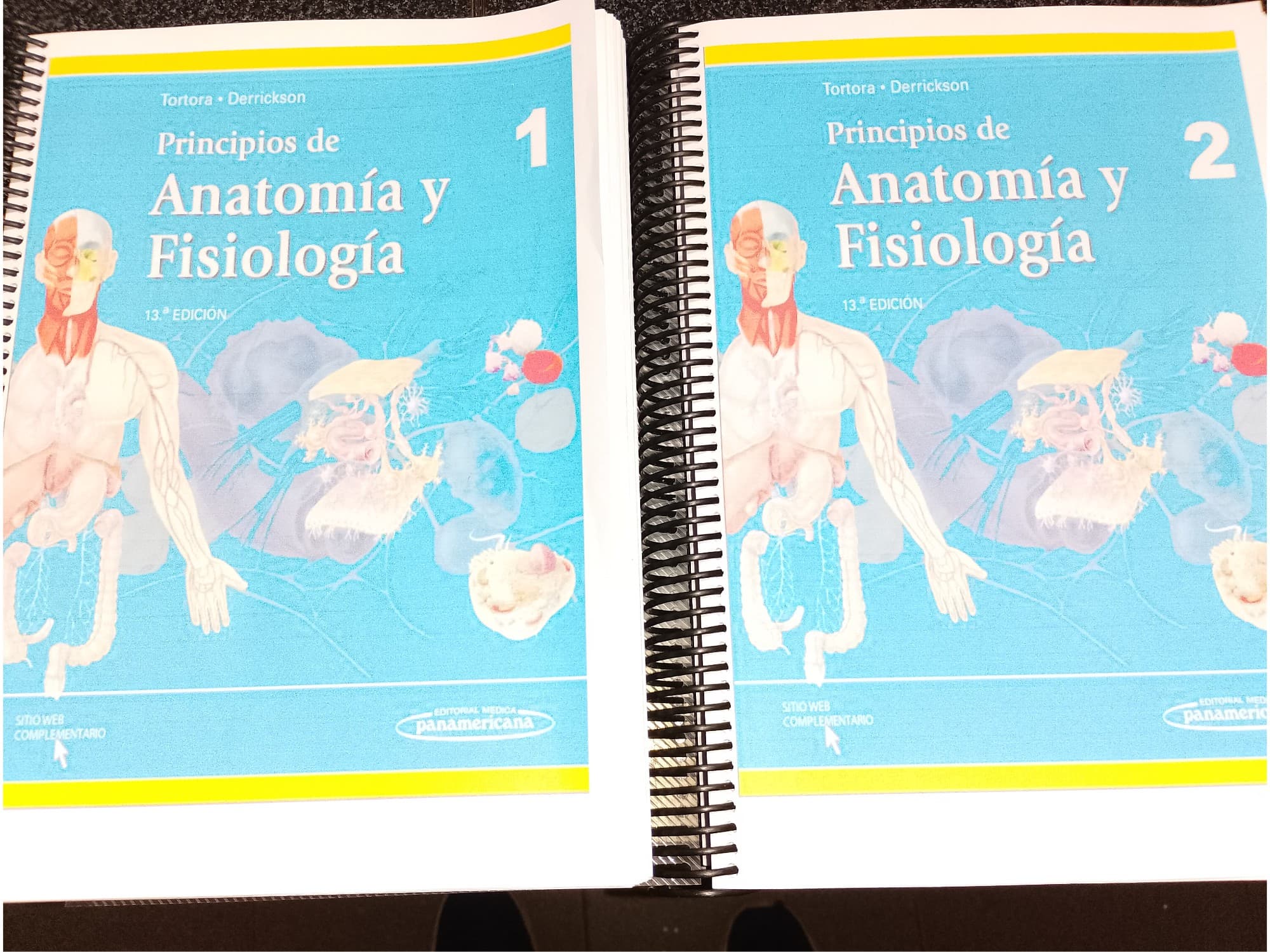 Principiosnde Anatomía y Fisiología ed 13 Tortora