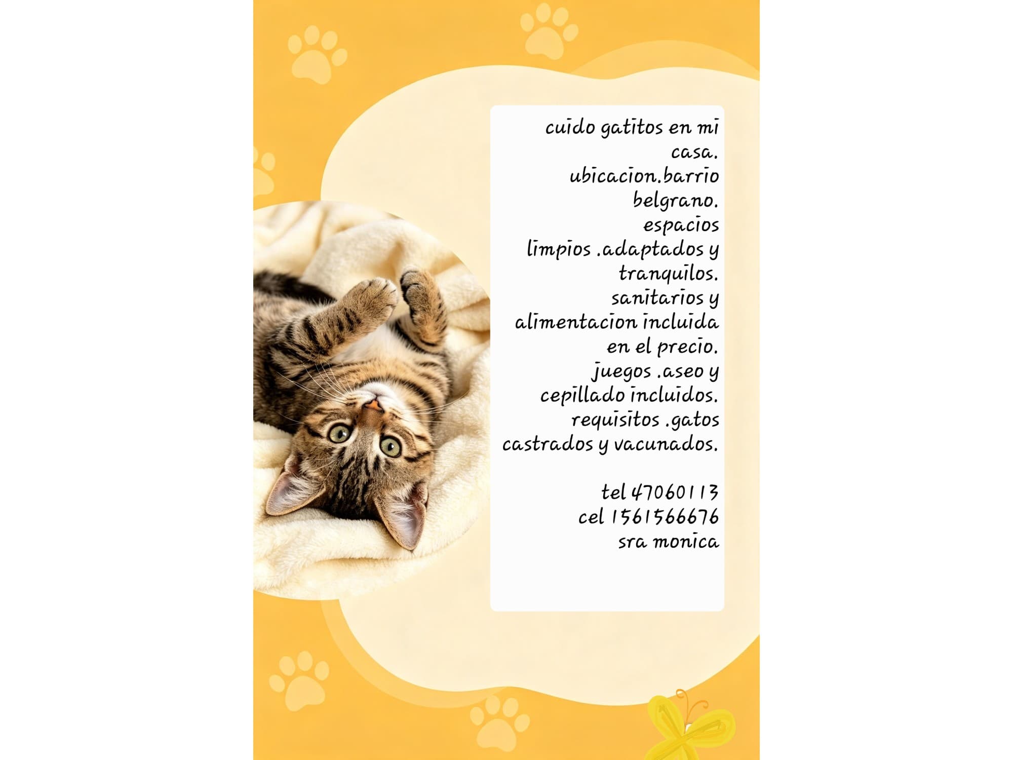 Cuidado de gatos