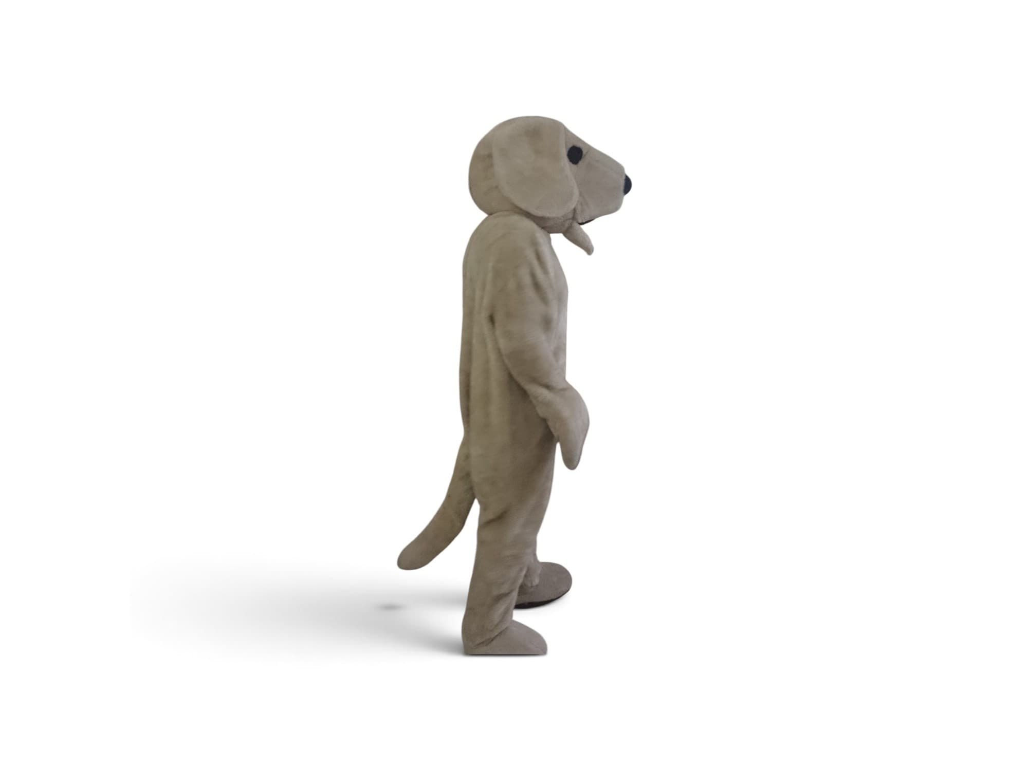 Disfraz de perrito