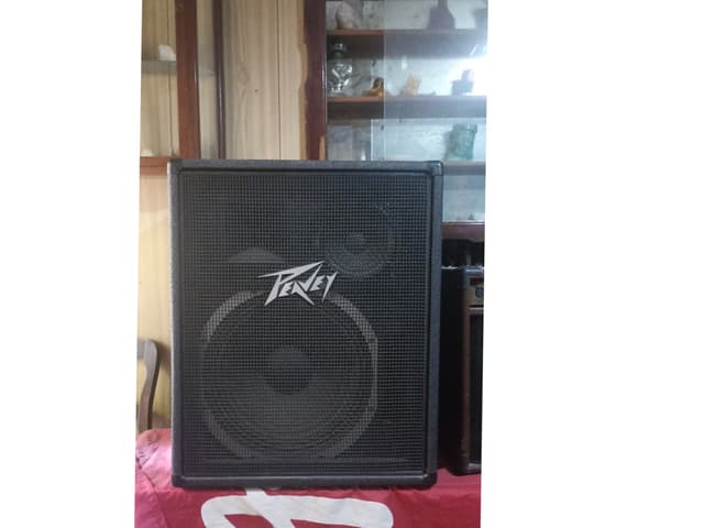Par de columnas de sonido Peavey americanas