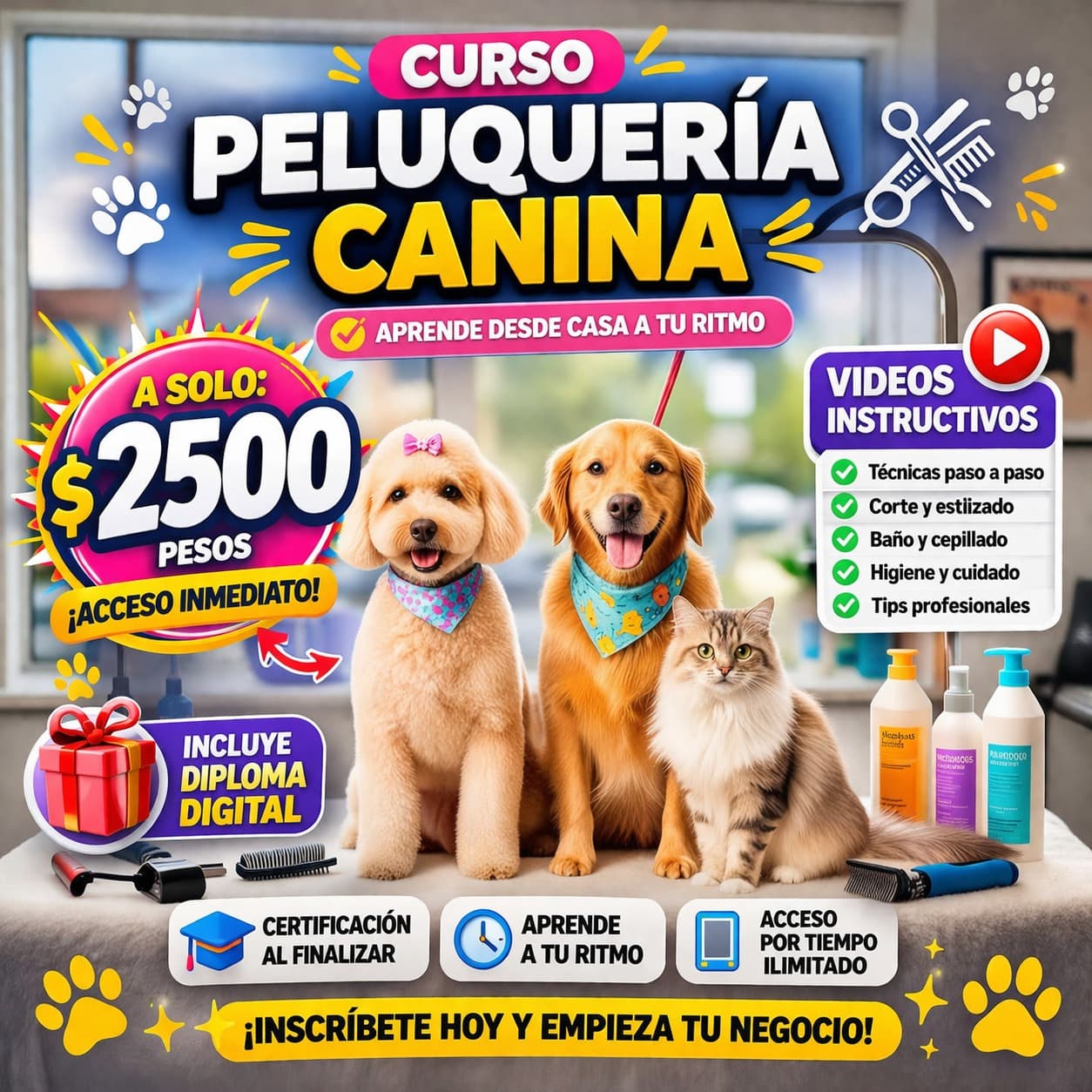 Curso peluq canina