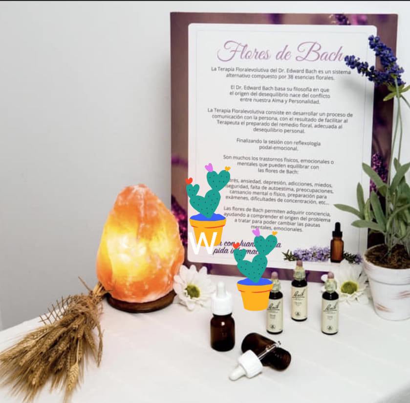 armonizaciones  a distancia  ayuda en salud orientacion laboral