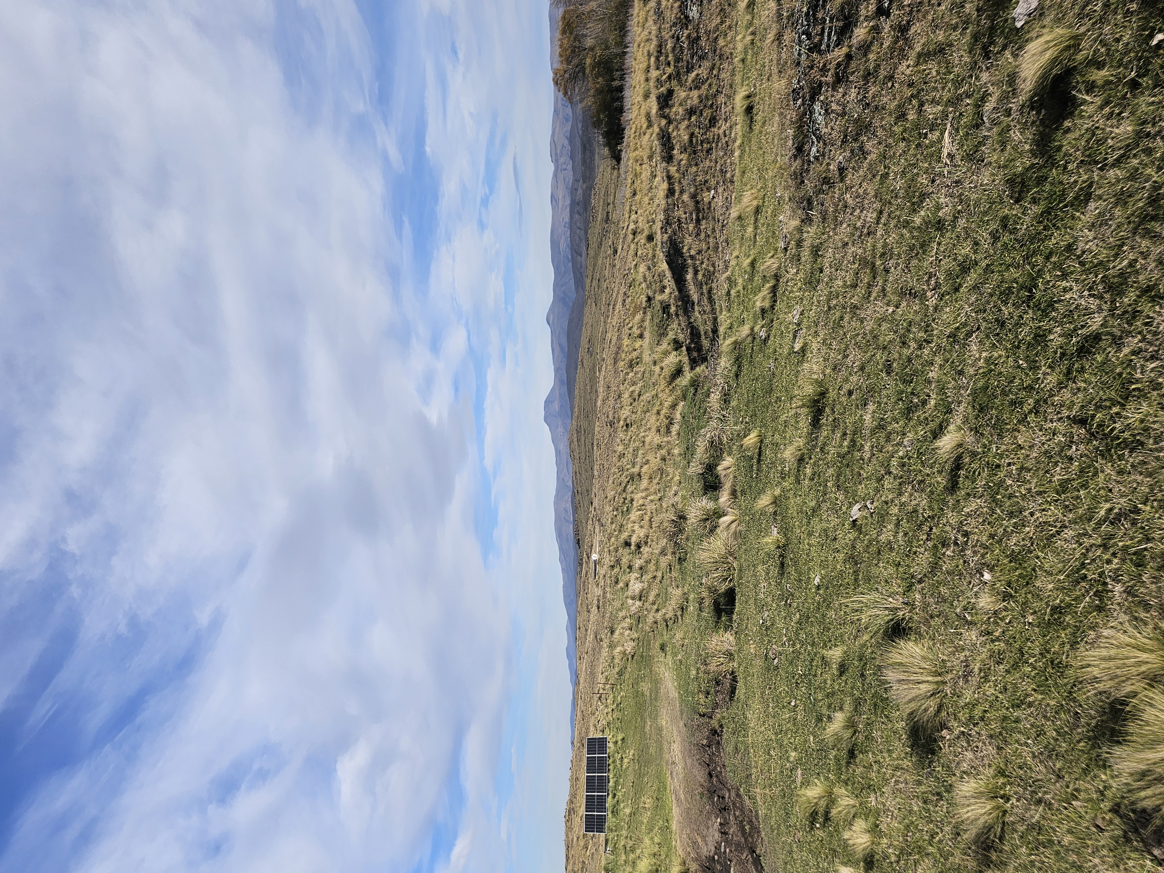 Tengo Campo ganadero